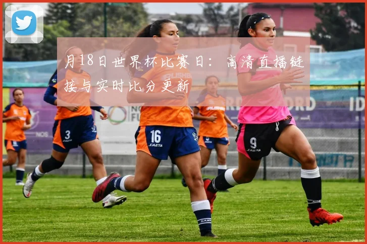 月18日世界杯比赛日:高清直播链接与实时比分更新